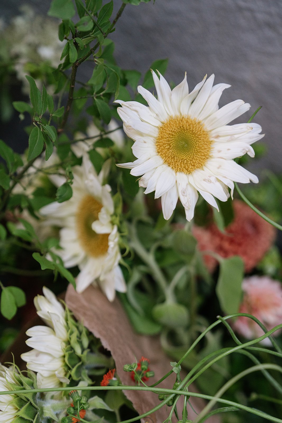 studio rien wedding event flowers brooklyn new york