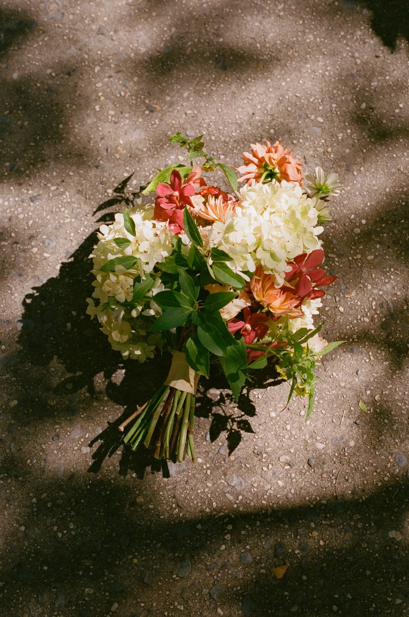 NatalieDerekWedding_Film-169.jpg