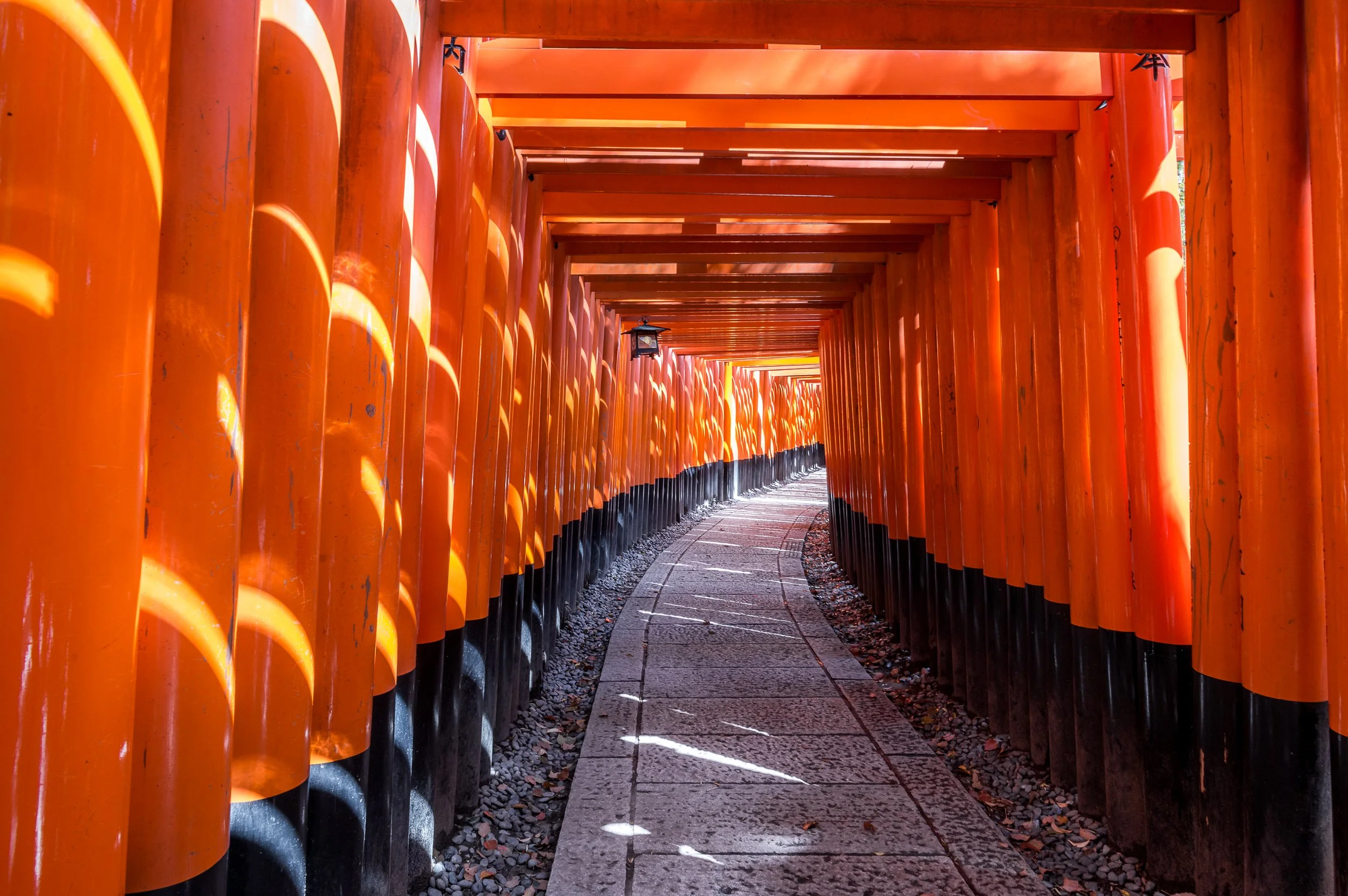 Fushimi Inari secret tour with a Torii builder
