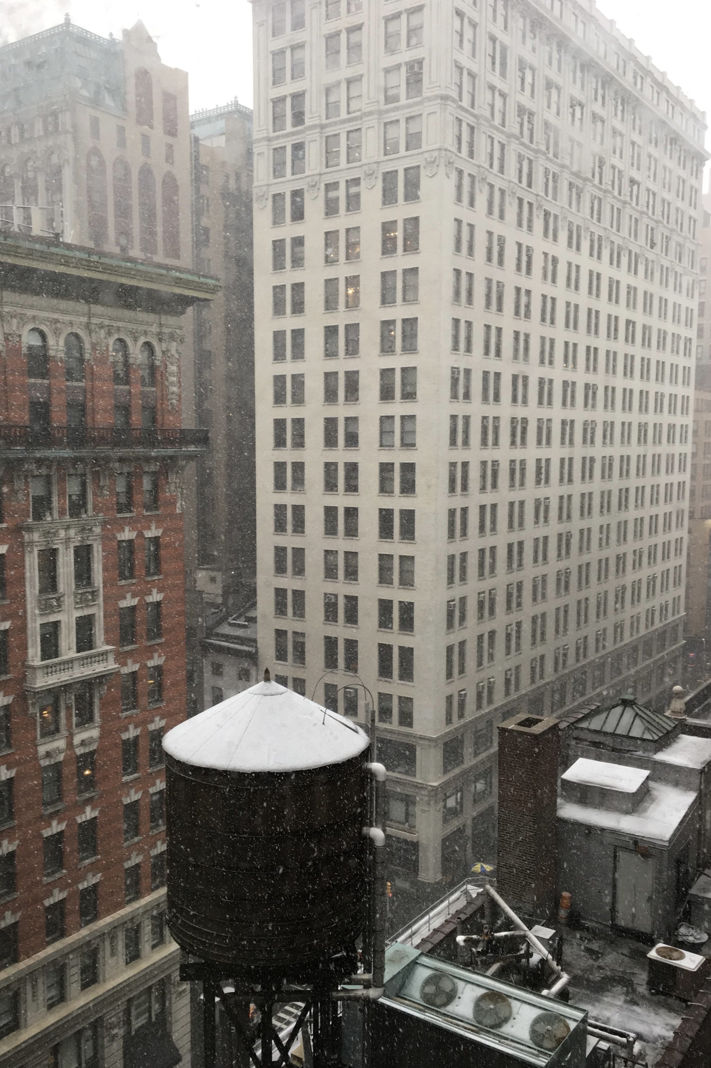Snowy day - NYC, March 2017