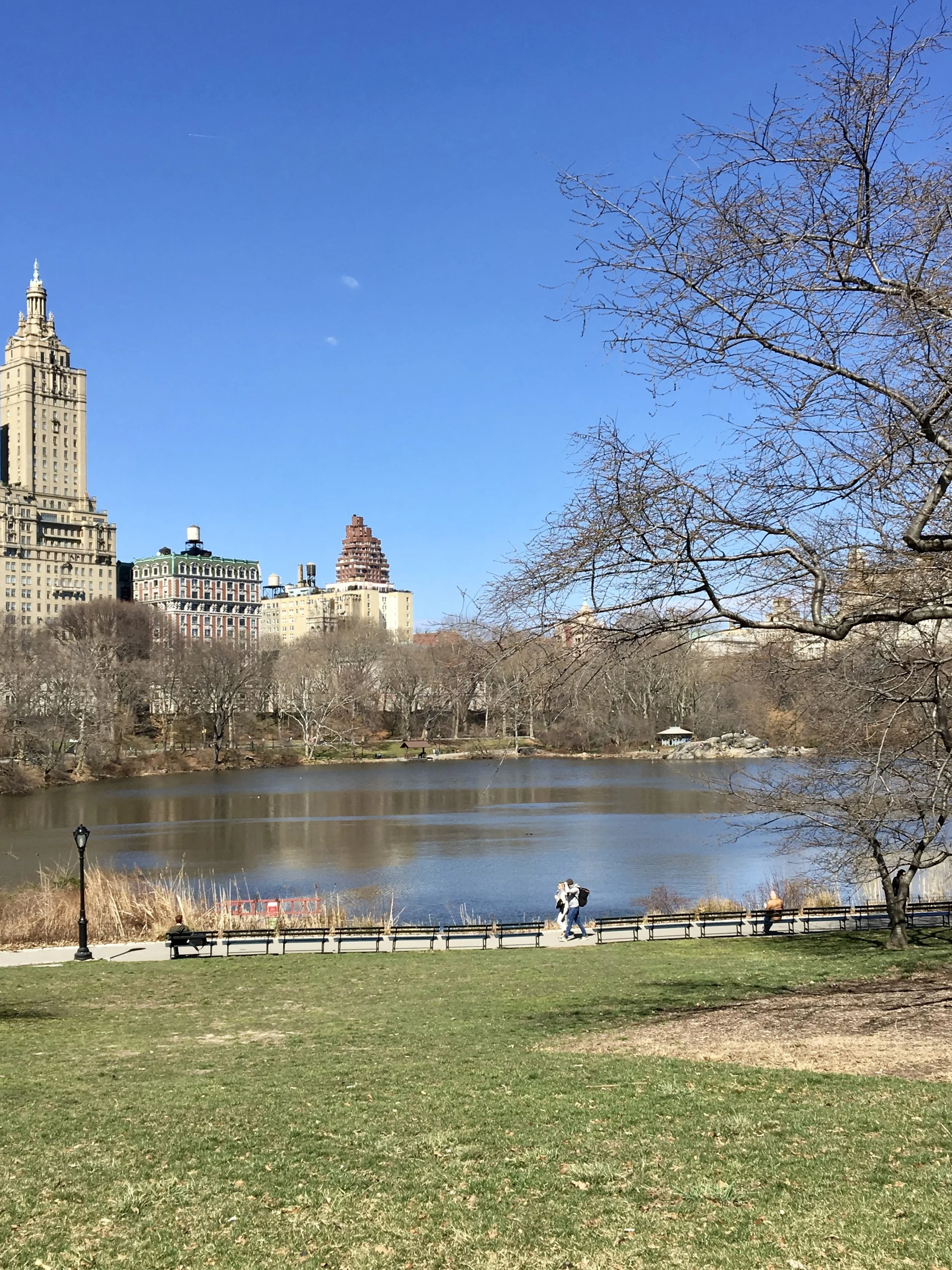 Central Park - NYC, March 2017