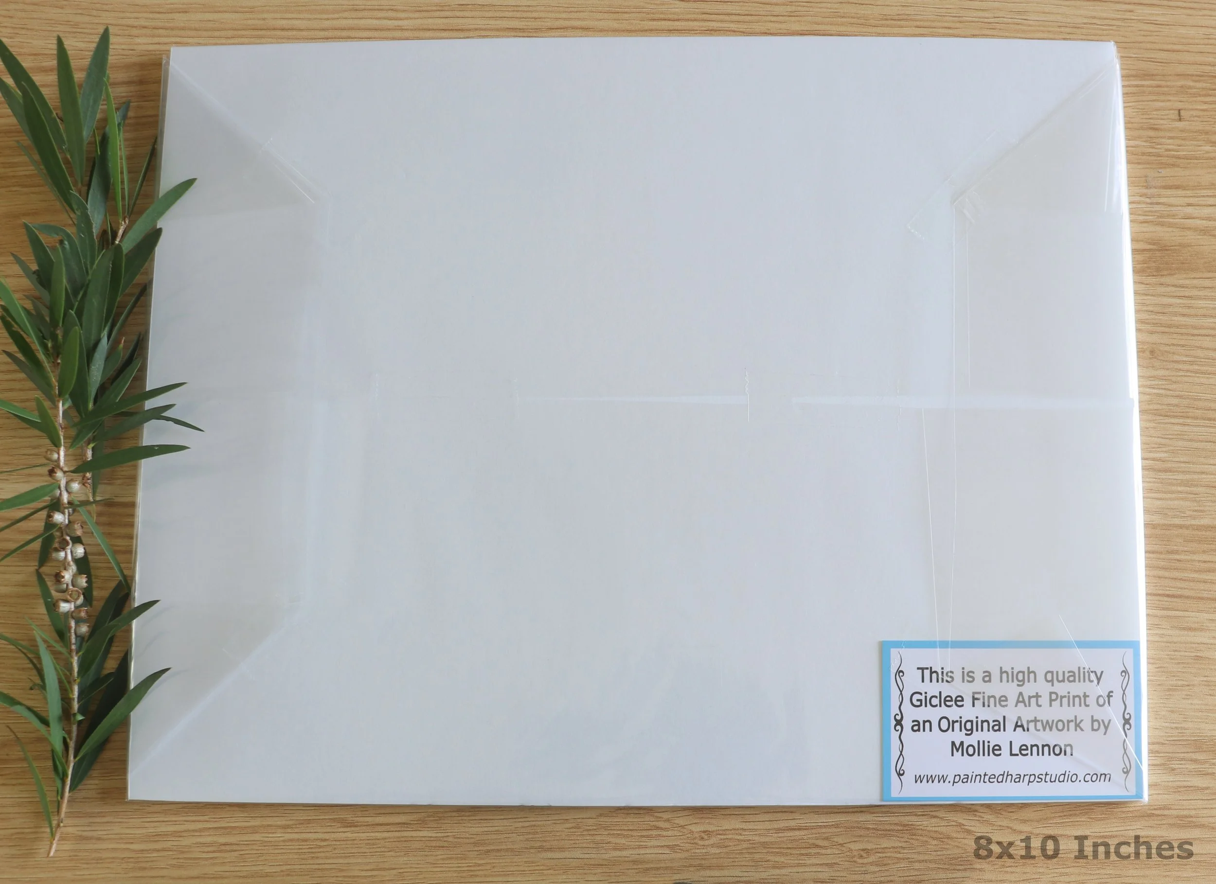 Back Landscape Matted 8x10.jpg