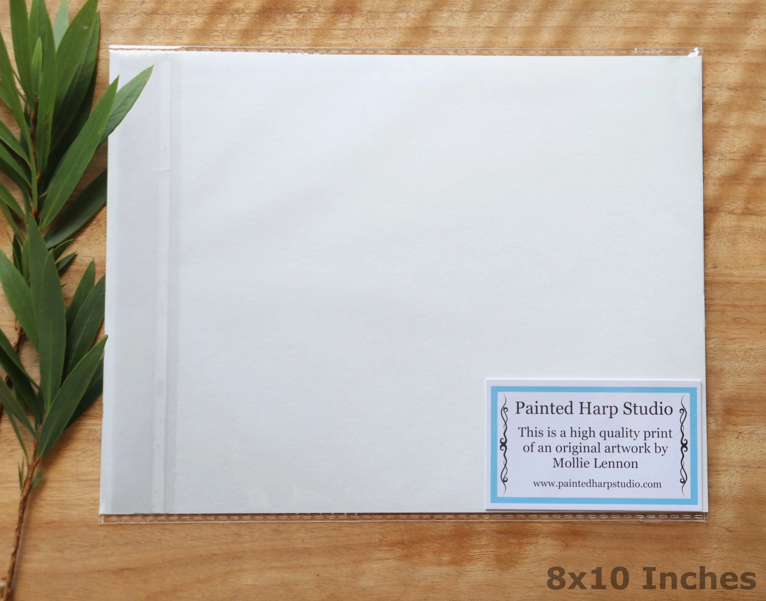 8x10 back landscape new.jpg