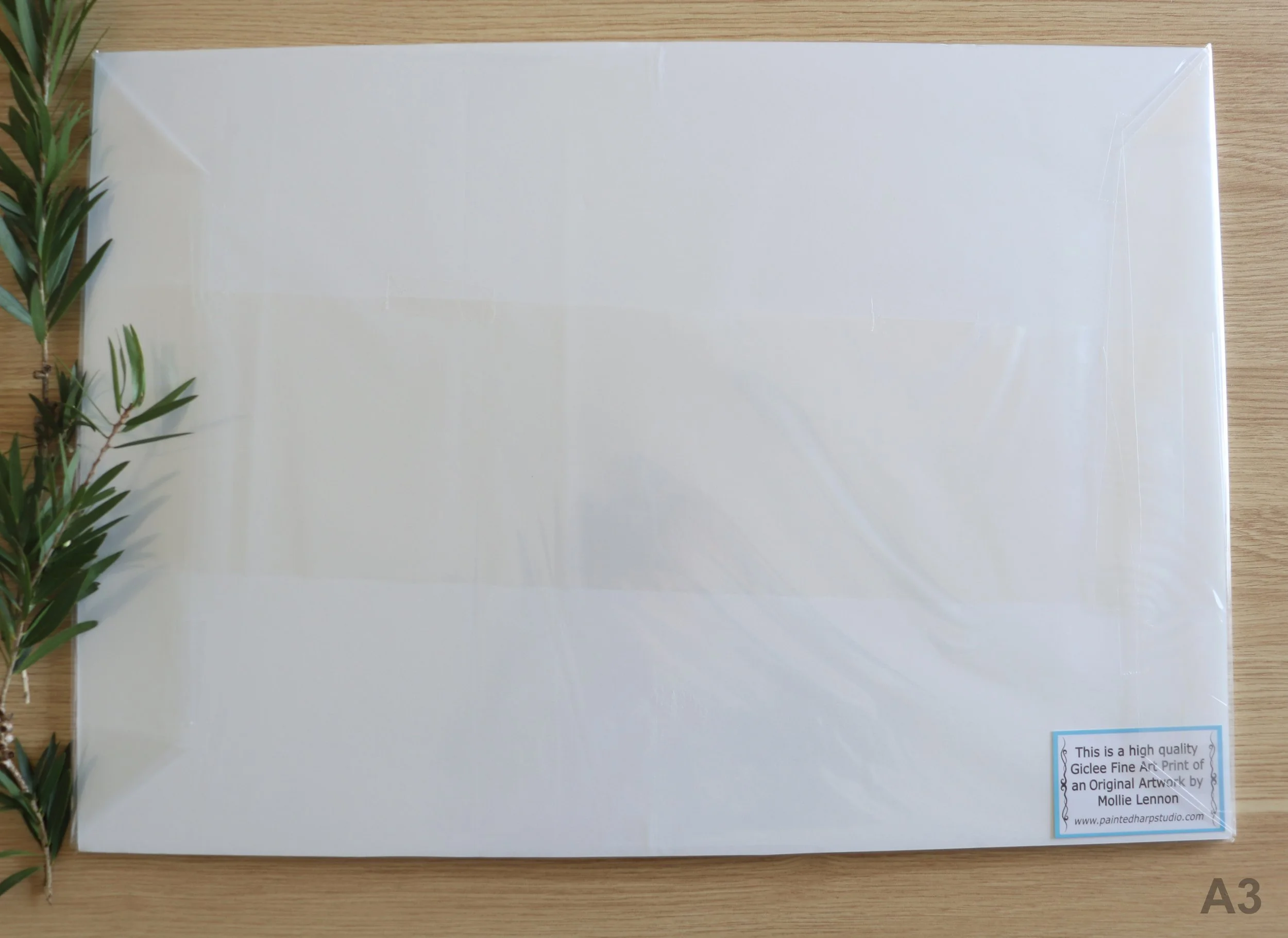 Back Landscape A3 Matted.jpg