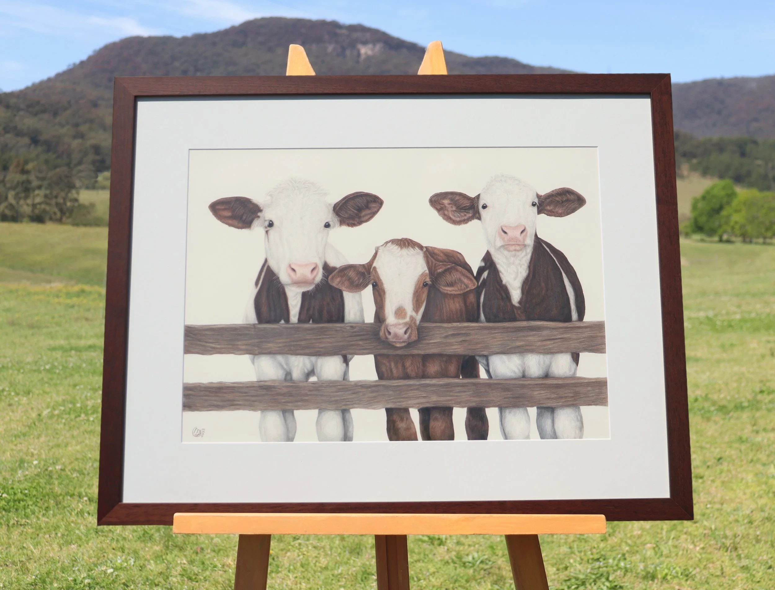 calves framed outside.jpg