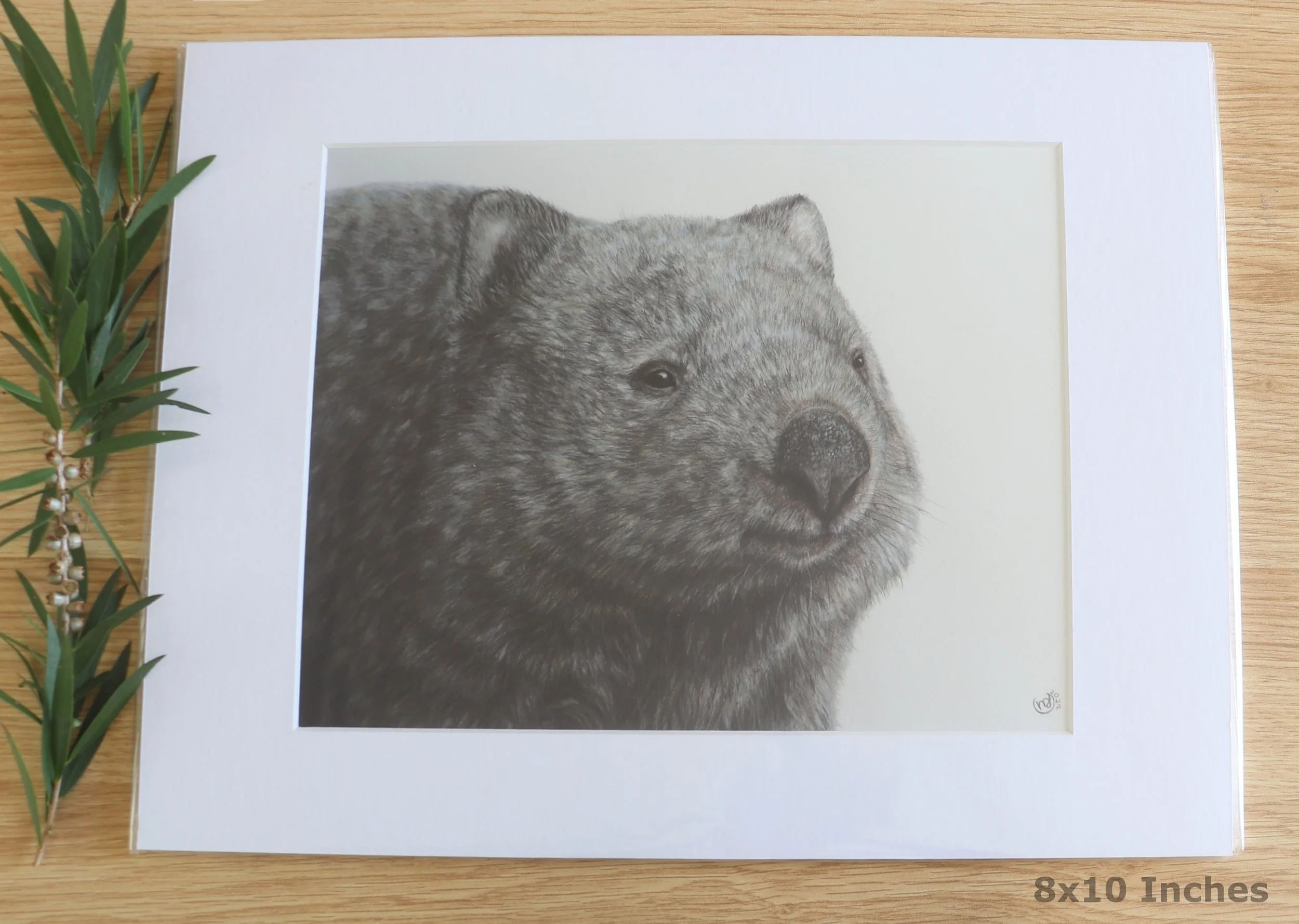 Wombat Matted 8x10.jpg