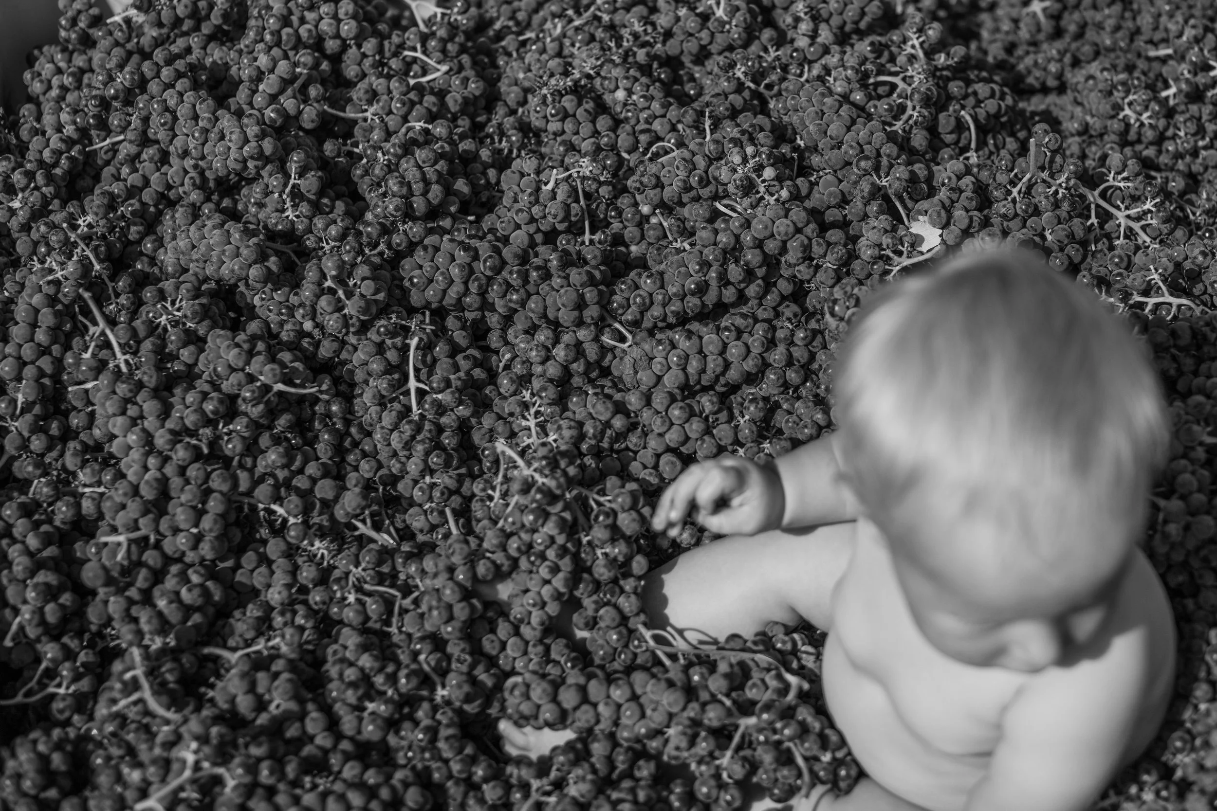 Bounteousness - A Life’s Work