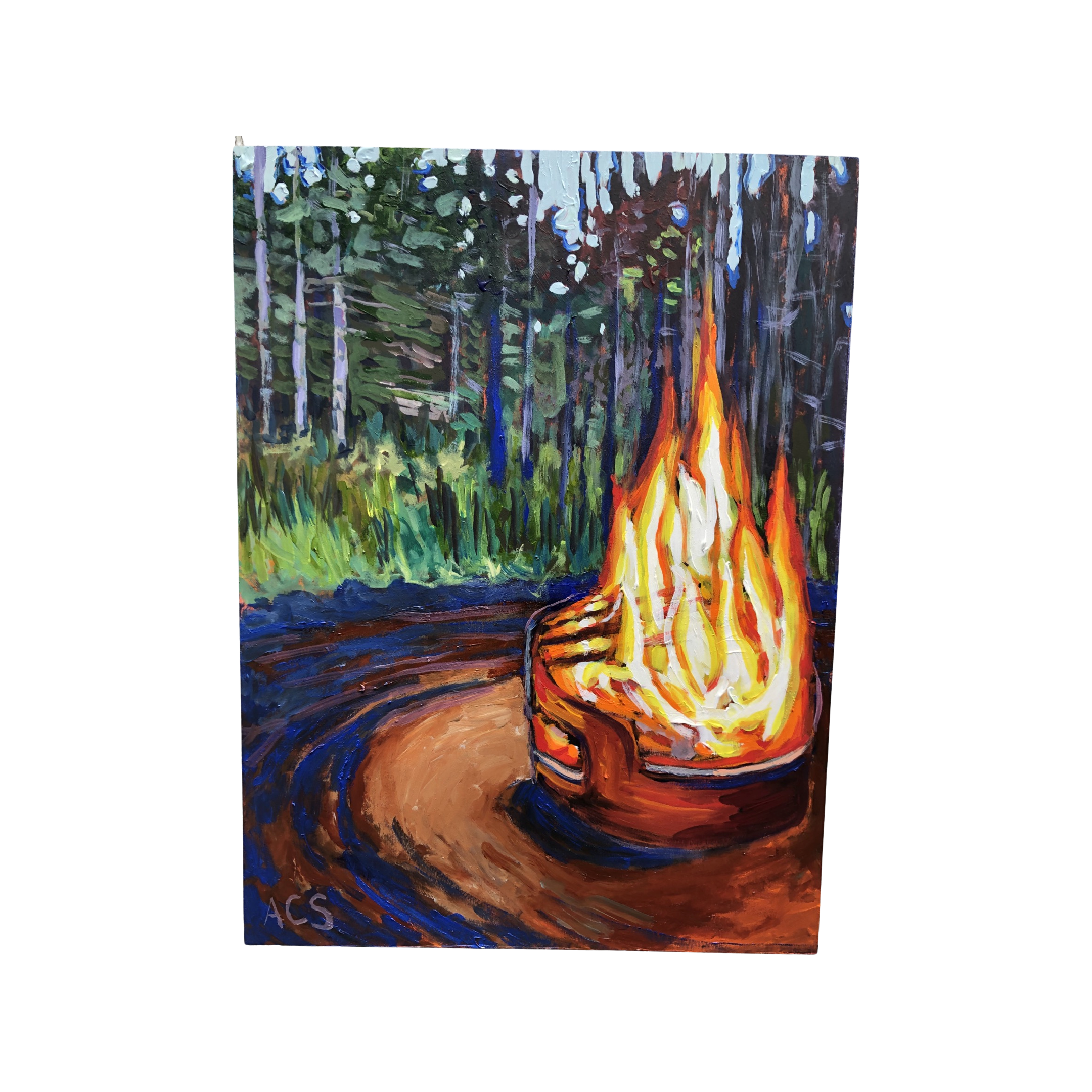 IMG_3447.png