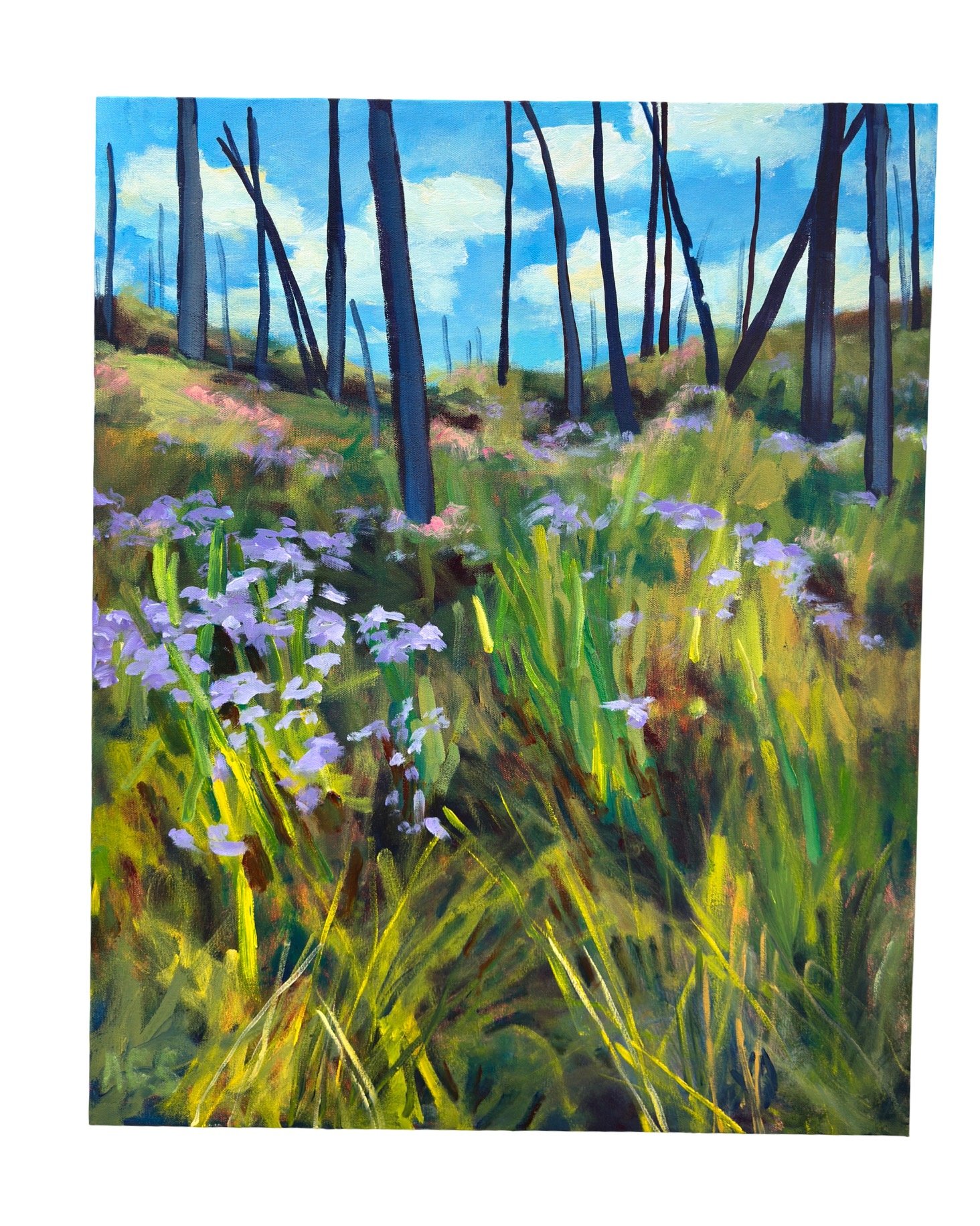 Life, Undeterred - 24 x 30 in. - Canvas - Gallery Depth