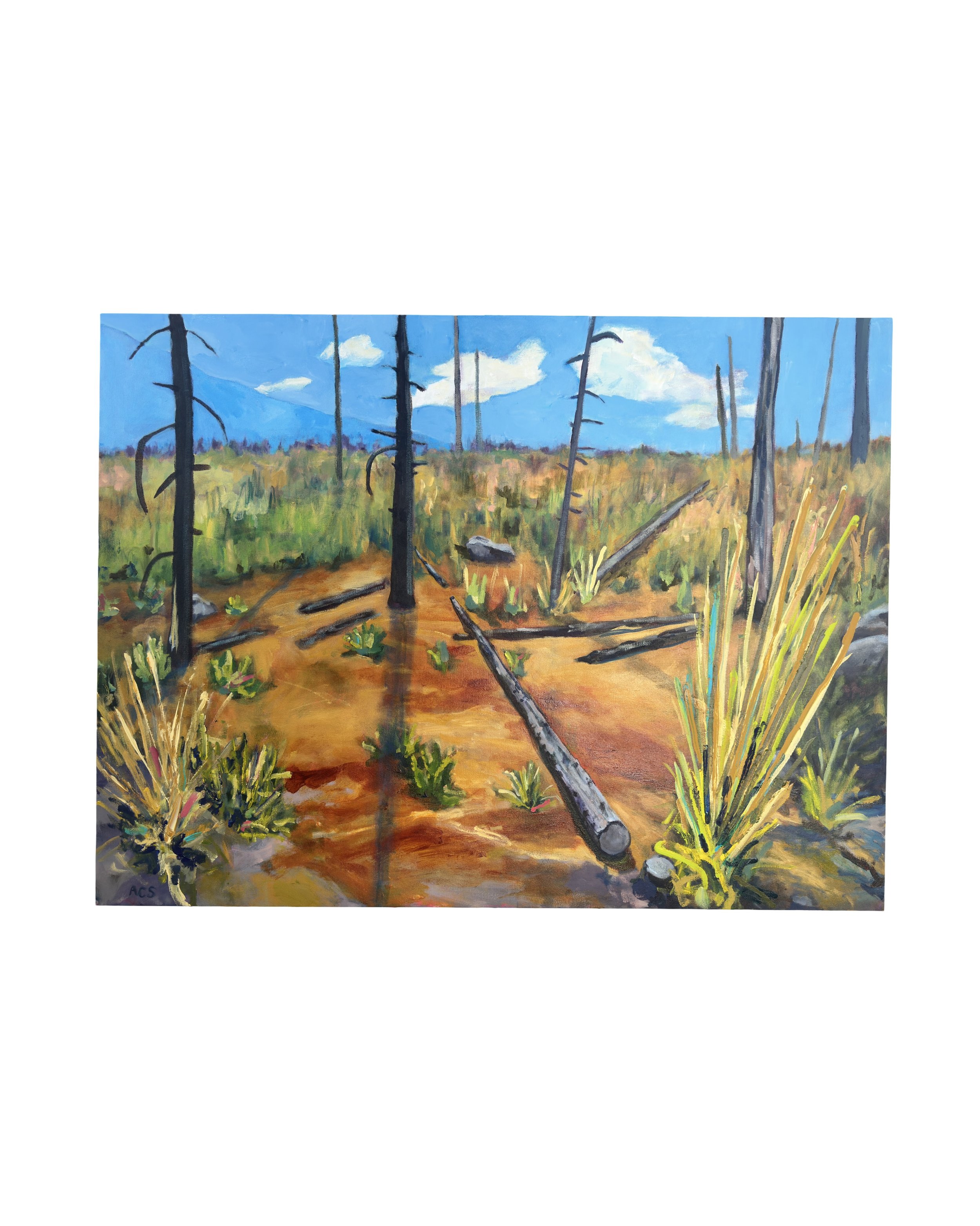 Making the Way Back - 30 x 40 in. - Canvas - Gallery Depth