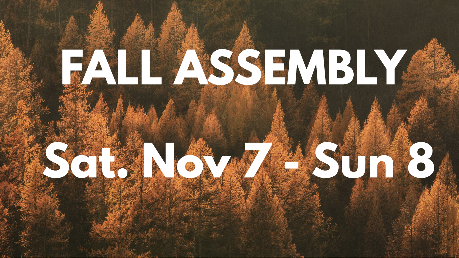 FALL ASSEMBLY