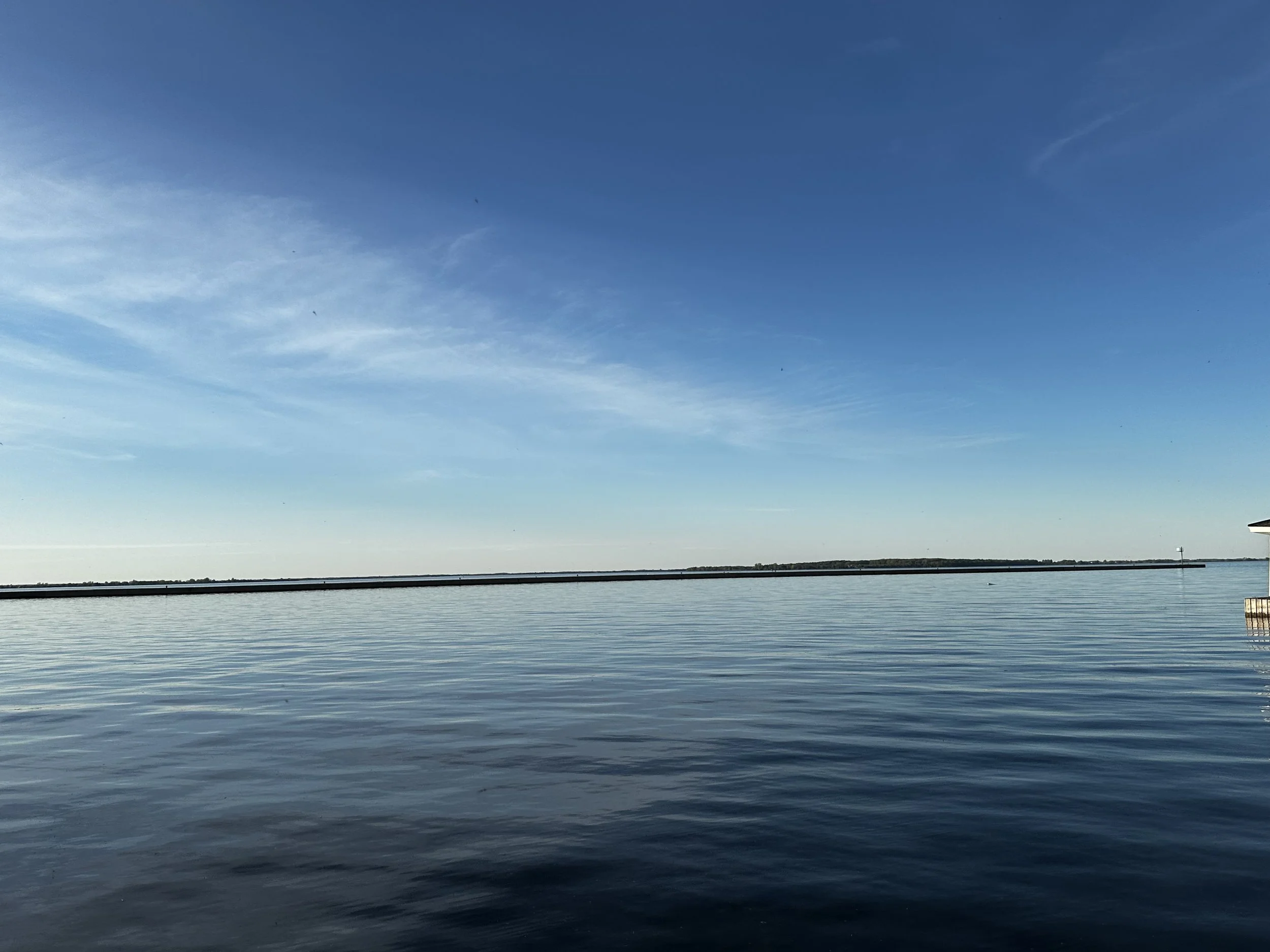 Ferry Survey 