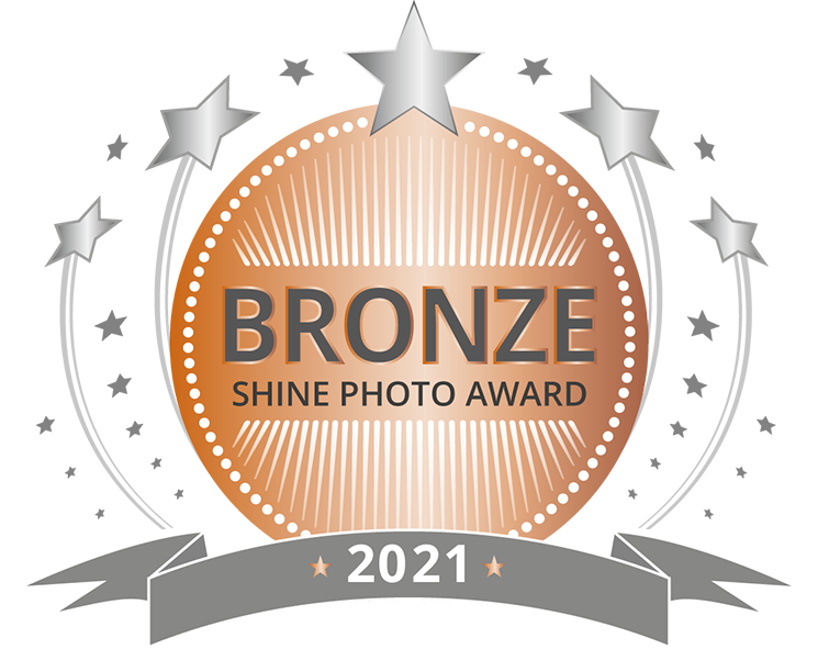 SHINE-Award-BRONZE_2021.png