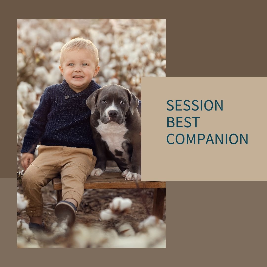 Gift Card - Session with your pets
