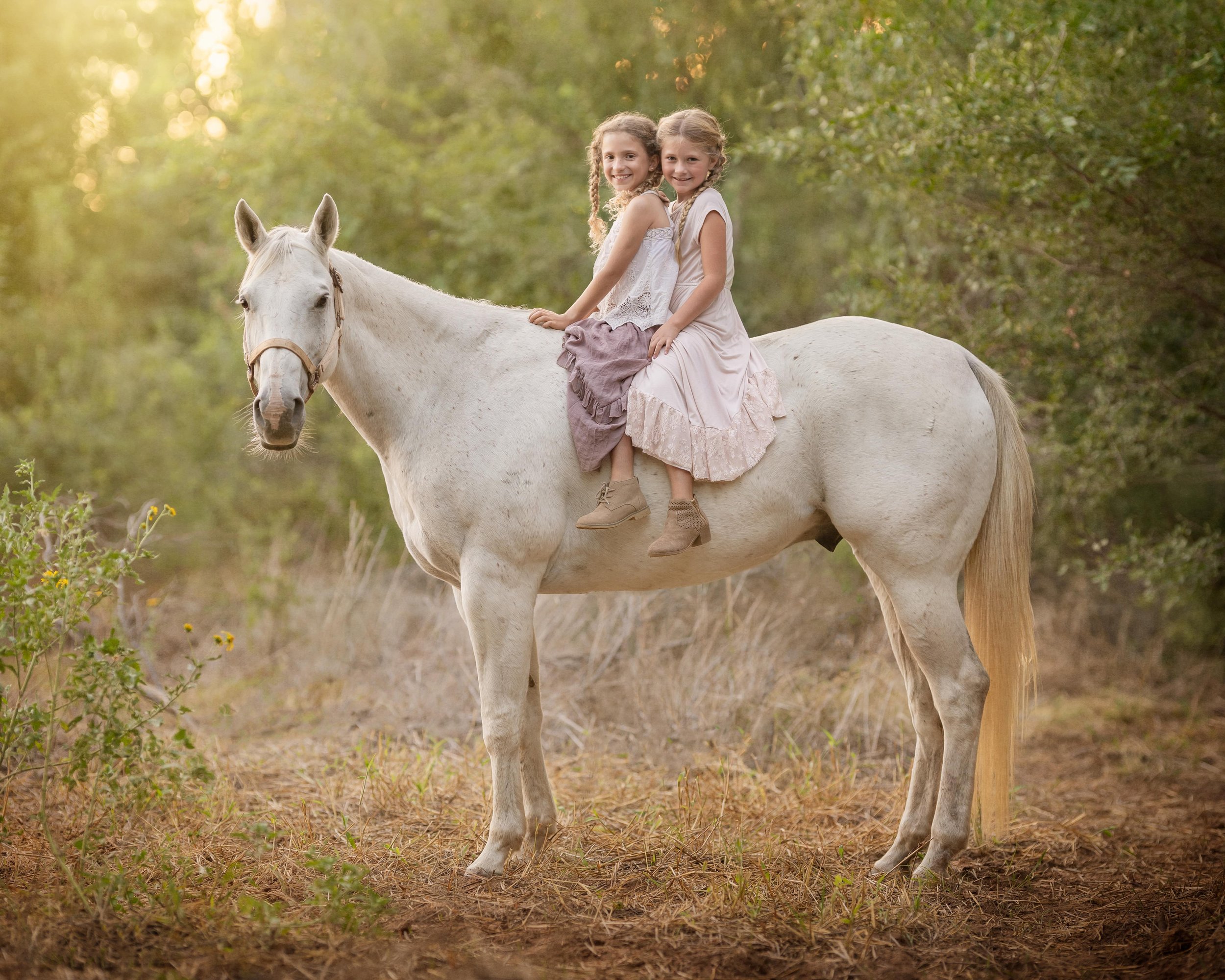 Angie Perisse - Portfolio - Magical Childhood- Photography Session for Kids, Pets, Horses, Family and Studio in Vernon, Texas, USA.