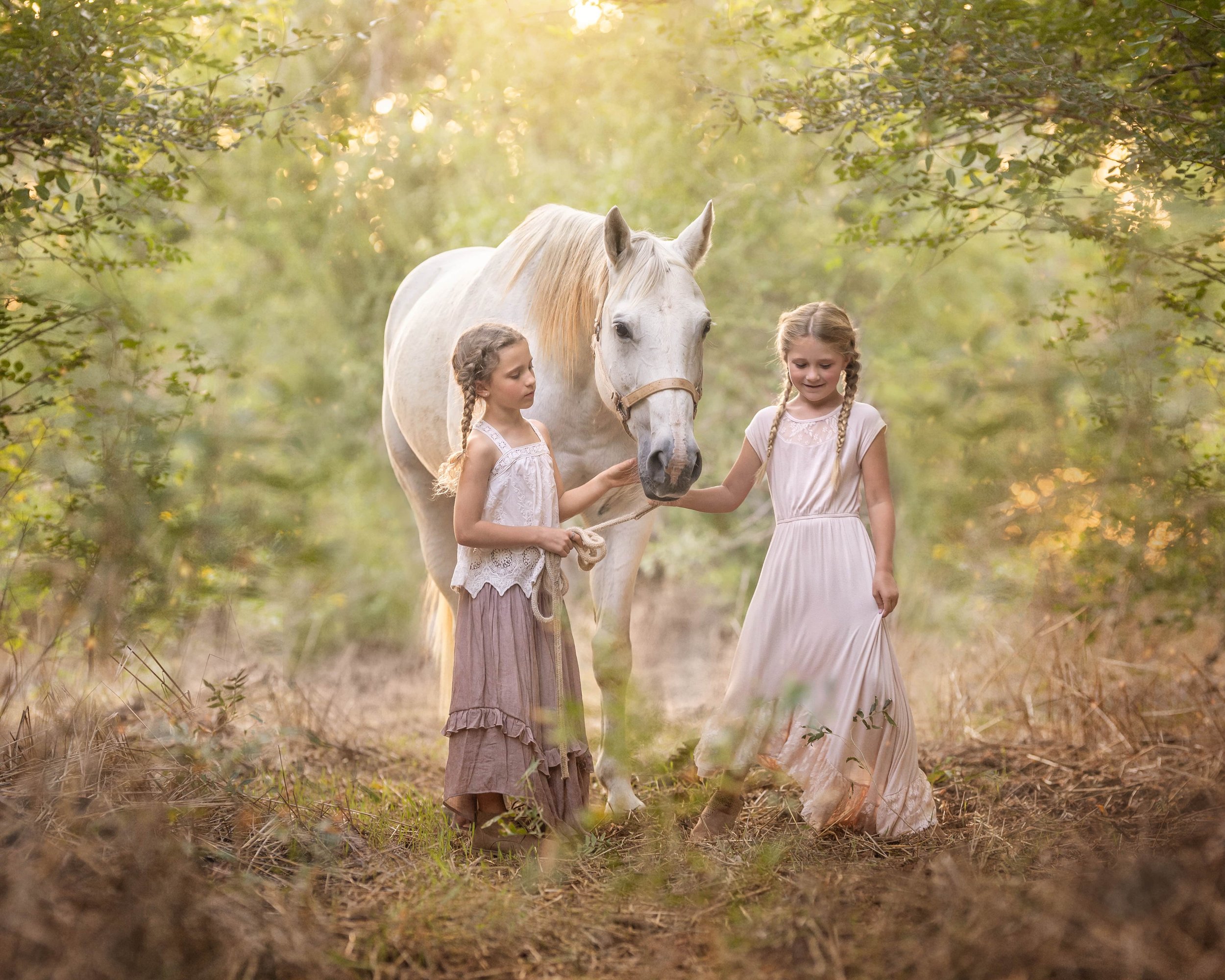 Angie Perisse - Portfolio - Magical Childhood- Photography Session for Kids, Pets, Horses, Family and Studio in Vernon, Texas, USA.