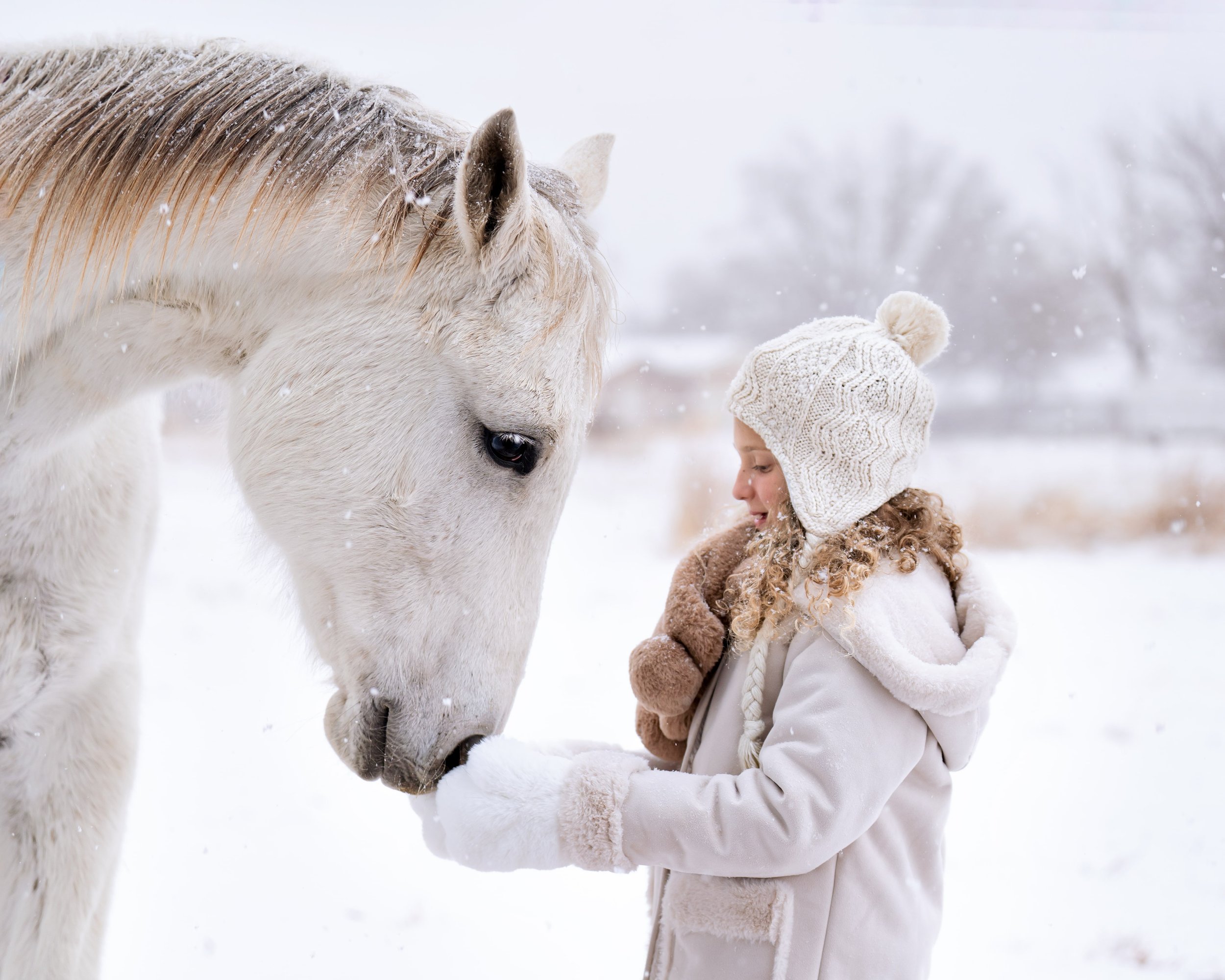 Angie Perisse - Portfolio - A trip to the snow - Photography Session for Kids, Pets, Horses, Family and Studio in Vernon, Texas, USA.