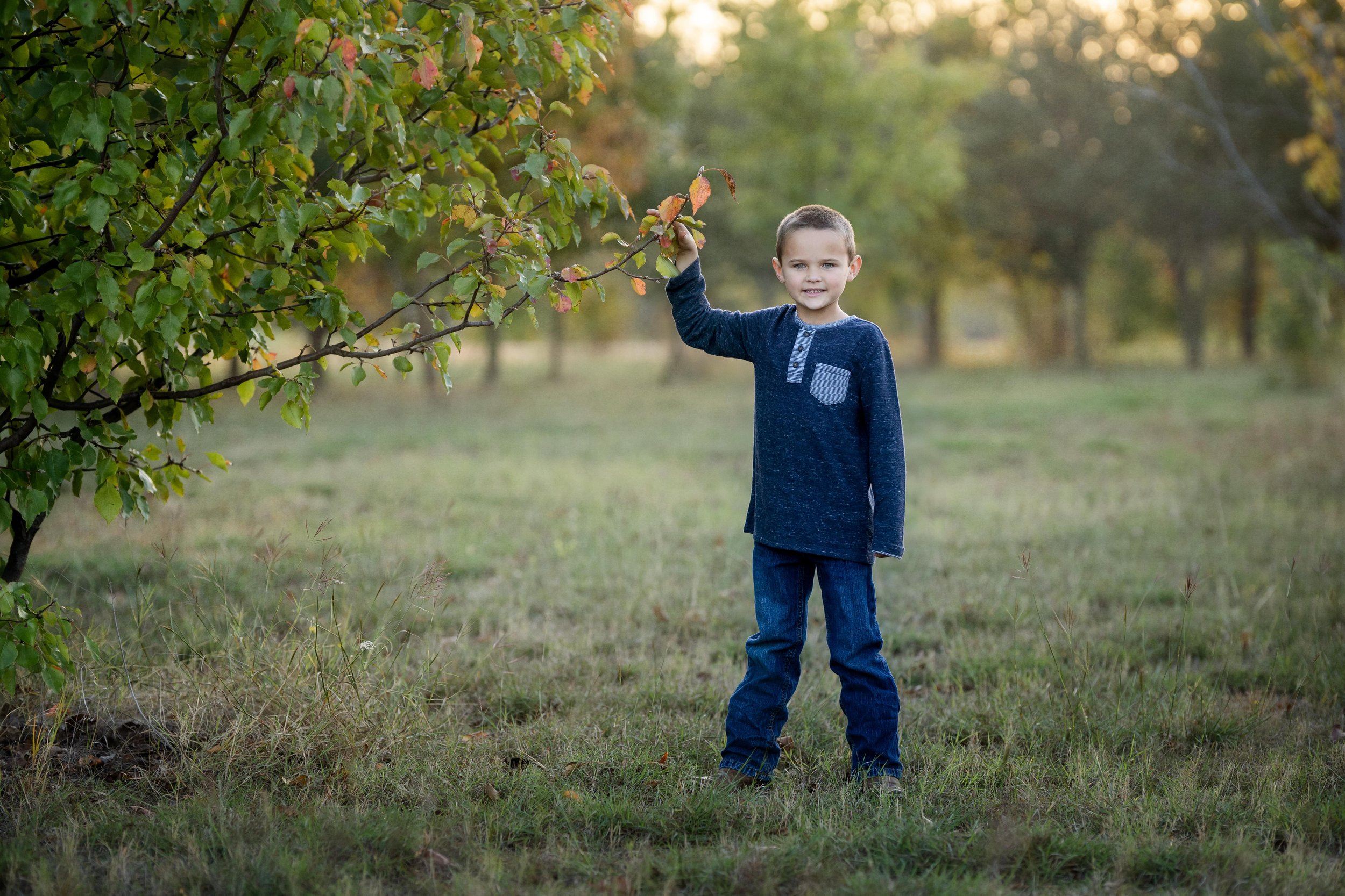 Angie Perisse - Portfolio - Photography Session for Kids, Pets, Horses, Family and Studio in Vernon, Texas, USA.