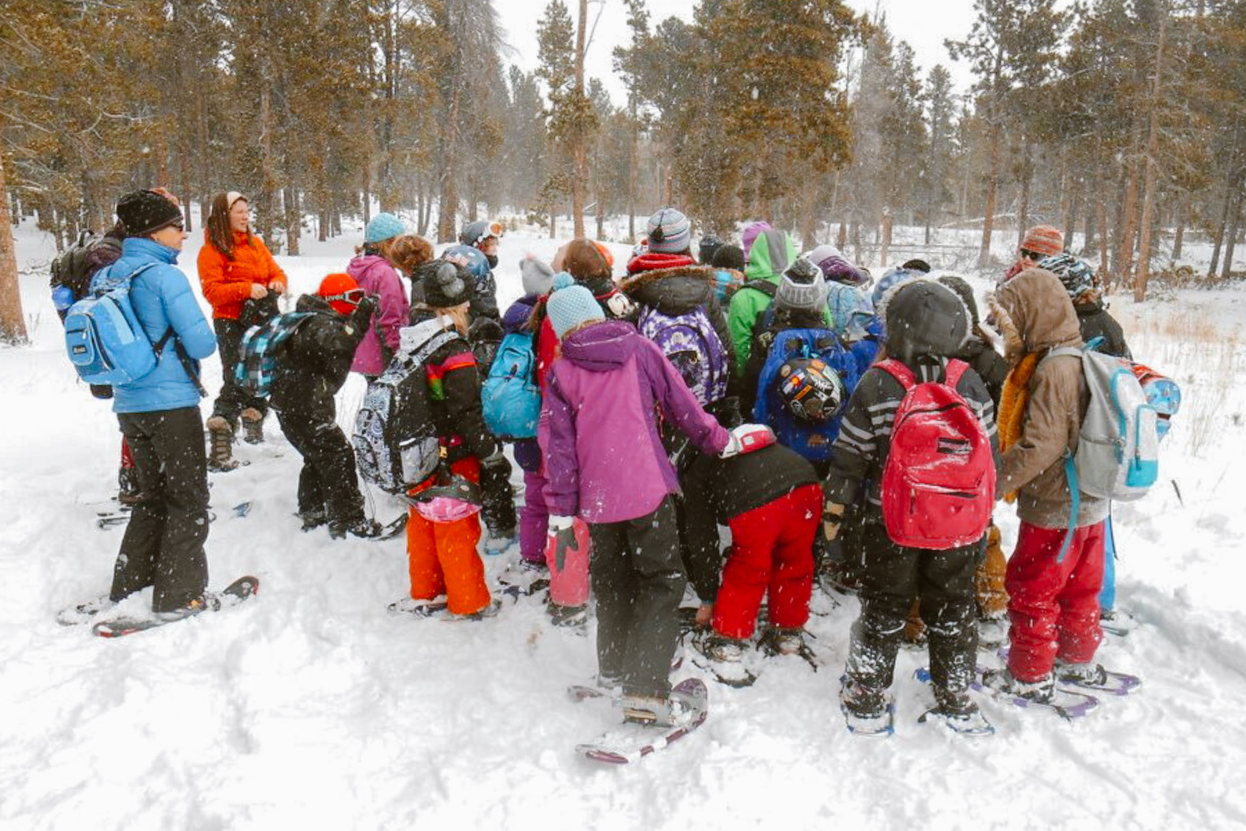 Wild-bear-snow-school40.jpg