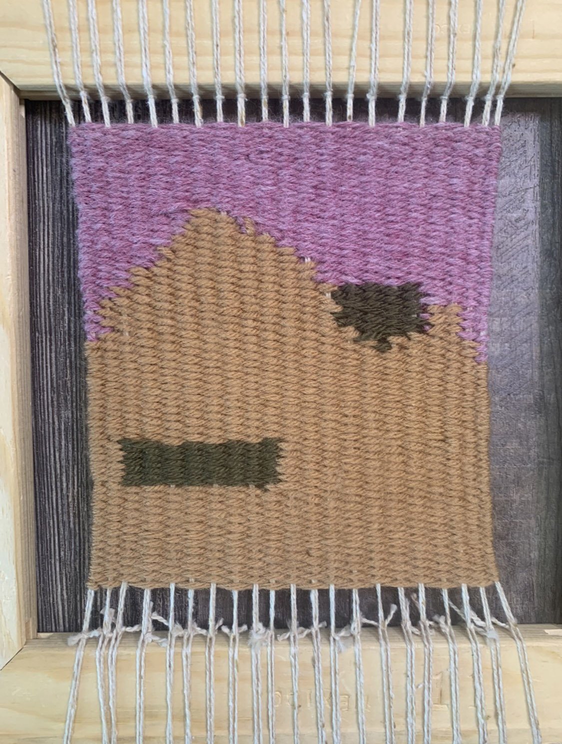 Art in the Wild: Weaving the Colors of Nature with Rachel Thurber