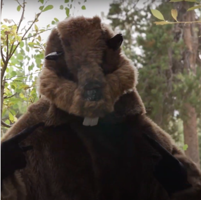 Rocky Mountain Beaver Speaks