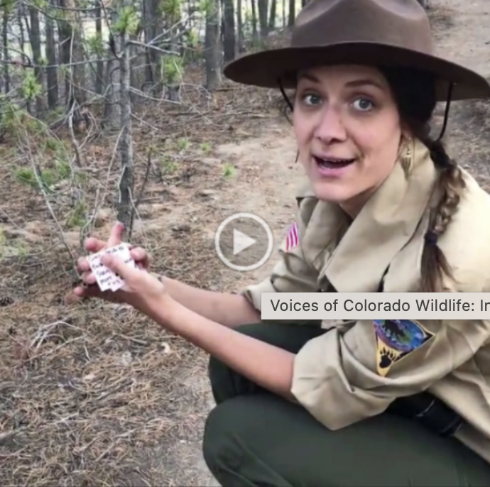 Voices of Colorado Wildlife: Intro Videos