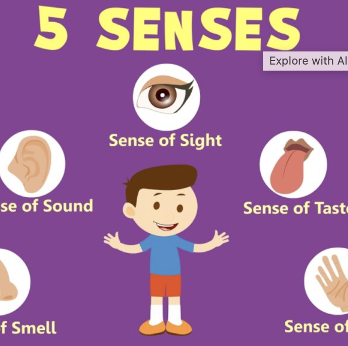 Explore with All of Your Senses