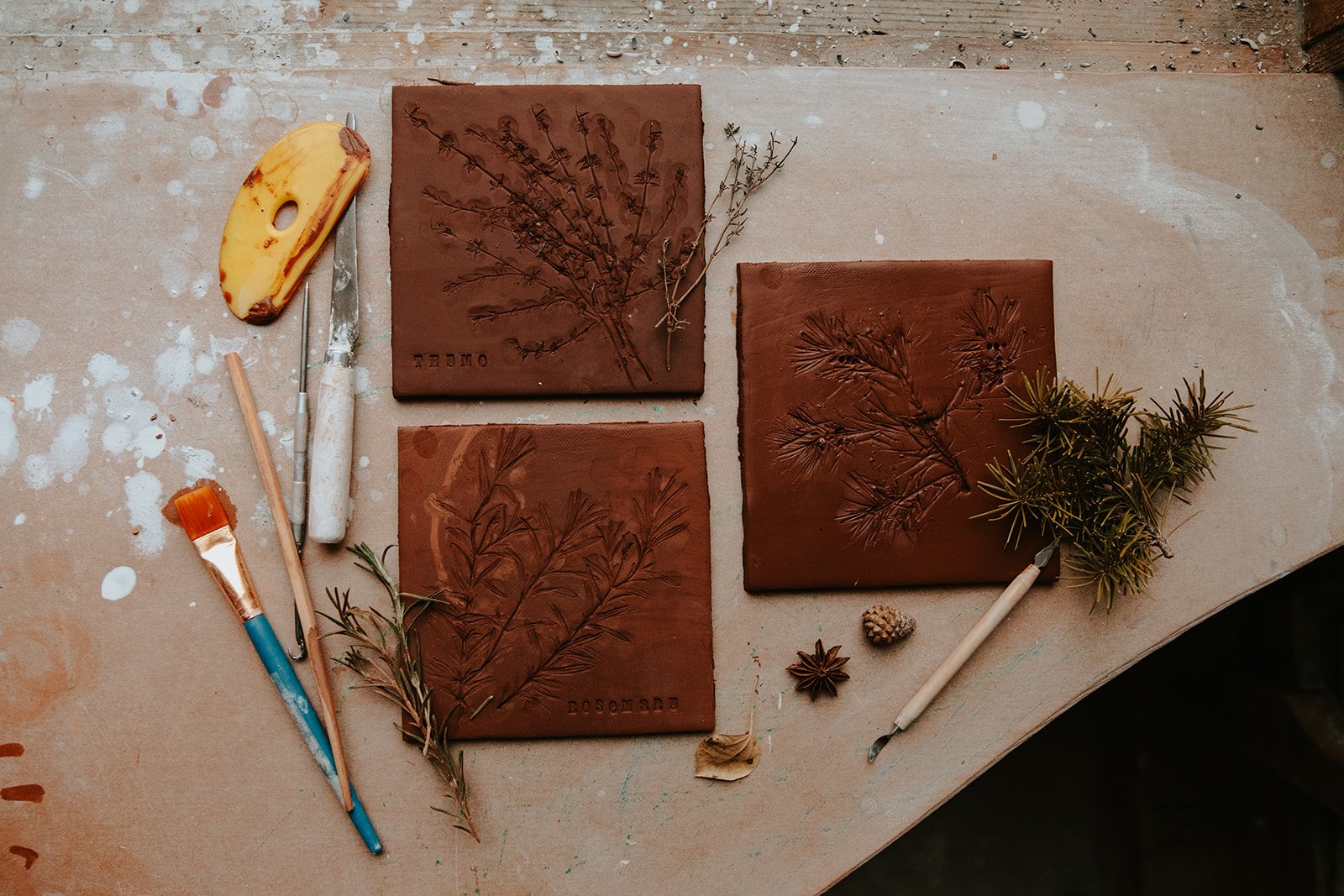 Nature Printing in Clay with Leah Decapio