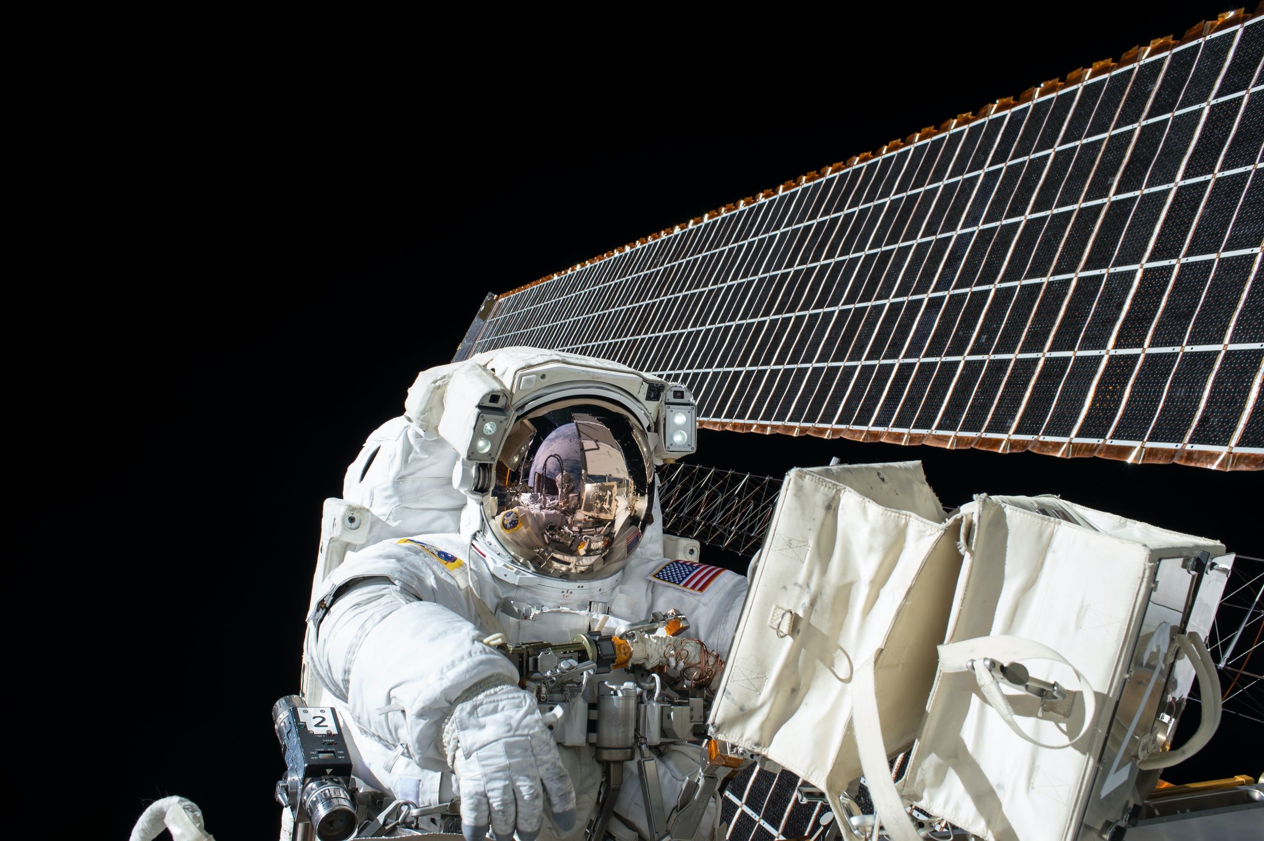 Bear Cubs: Super Space Scientists