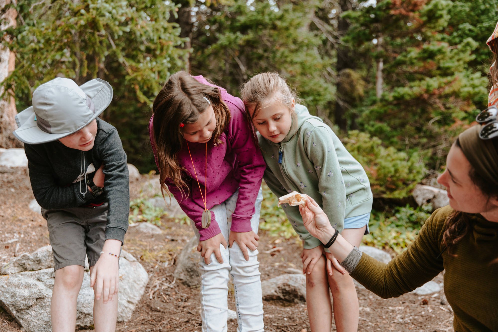 Homeschool Nature Enrichment w/ AIPA: Informational Meet & Greet