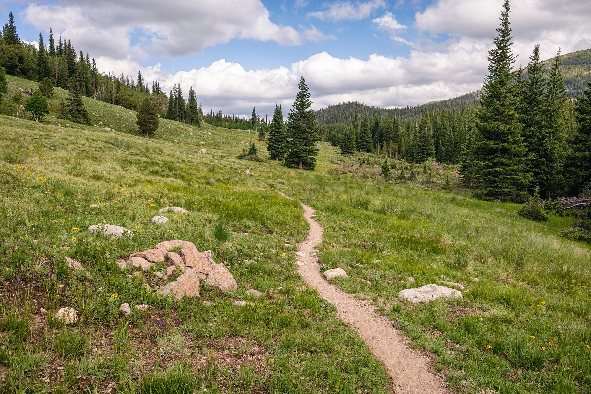 Women’s Wednesdays Mountain Hikes: Caribou Townsite/505 Trail