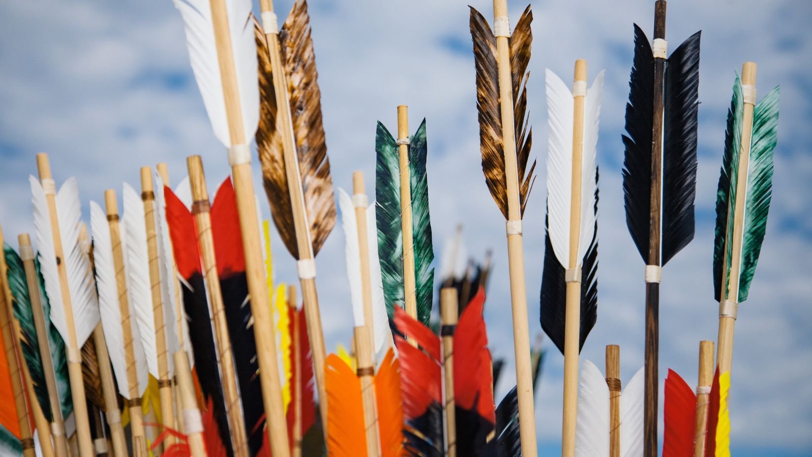 Wild Adventurers: Archery with Steve LaPointe (Ages 10-12)
