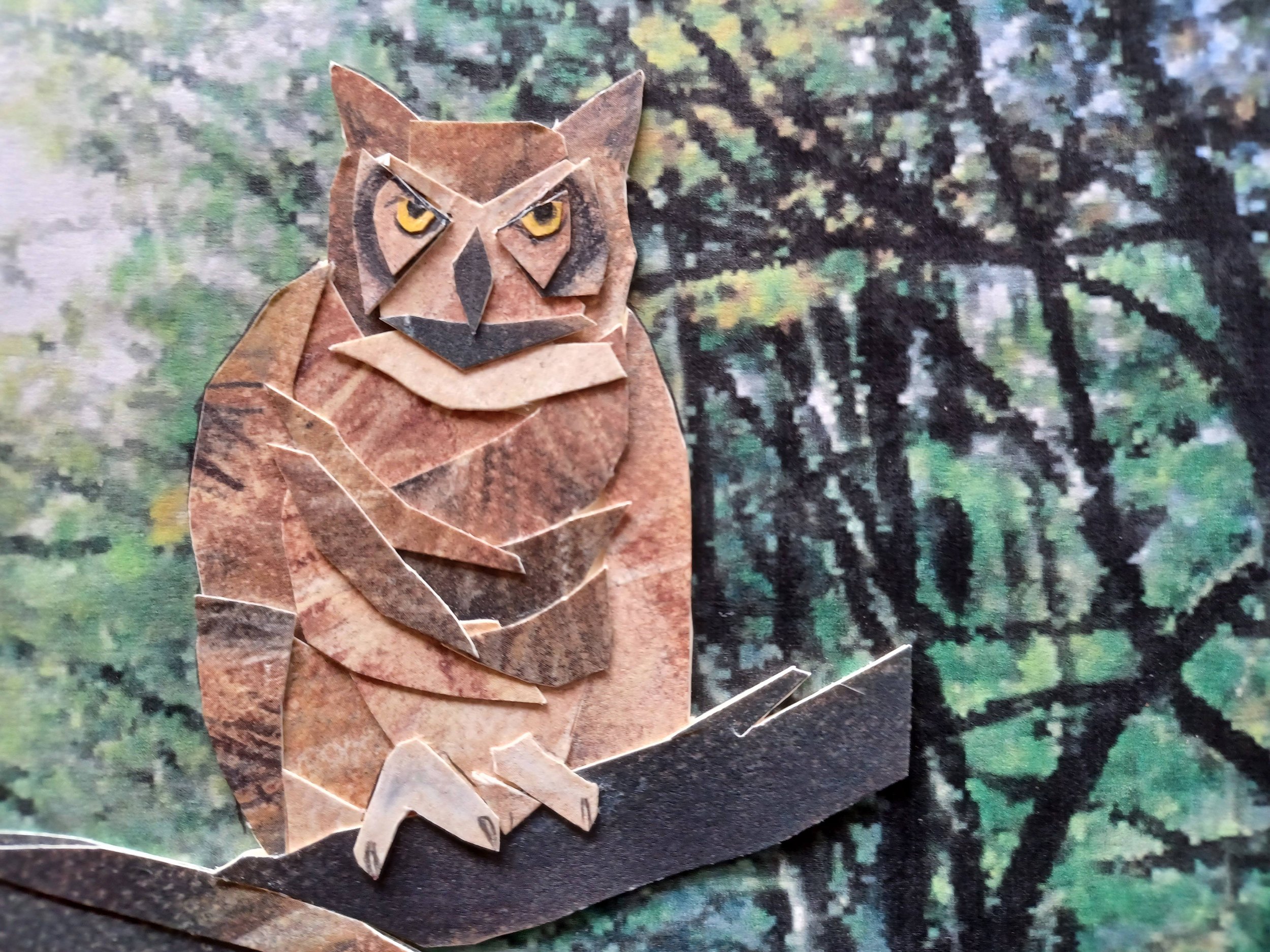 Art in the Wild: Recycling Paper into the Art of Paper Collage (Ages 12+) (Copy) (Copy)