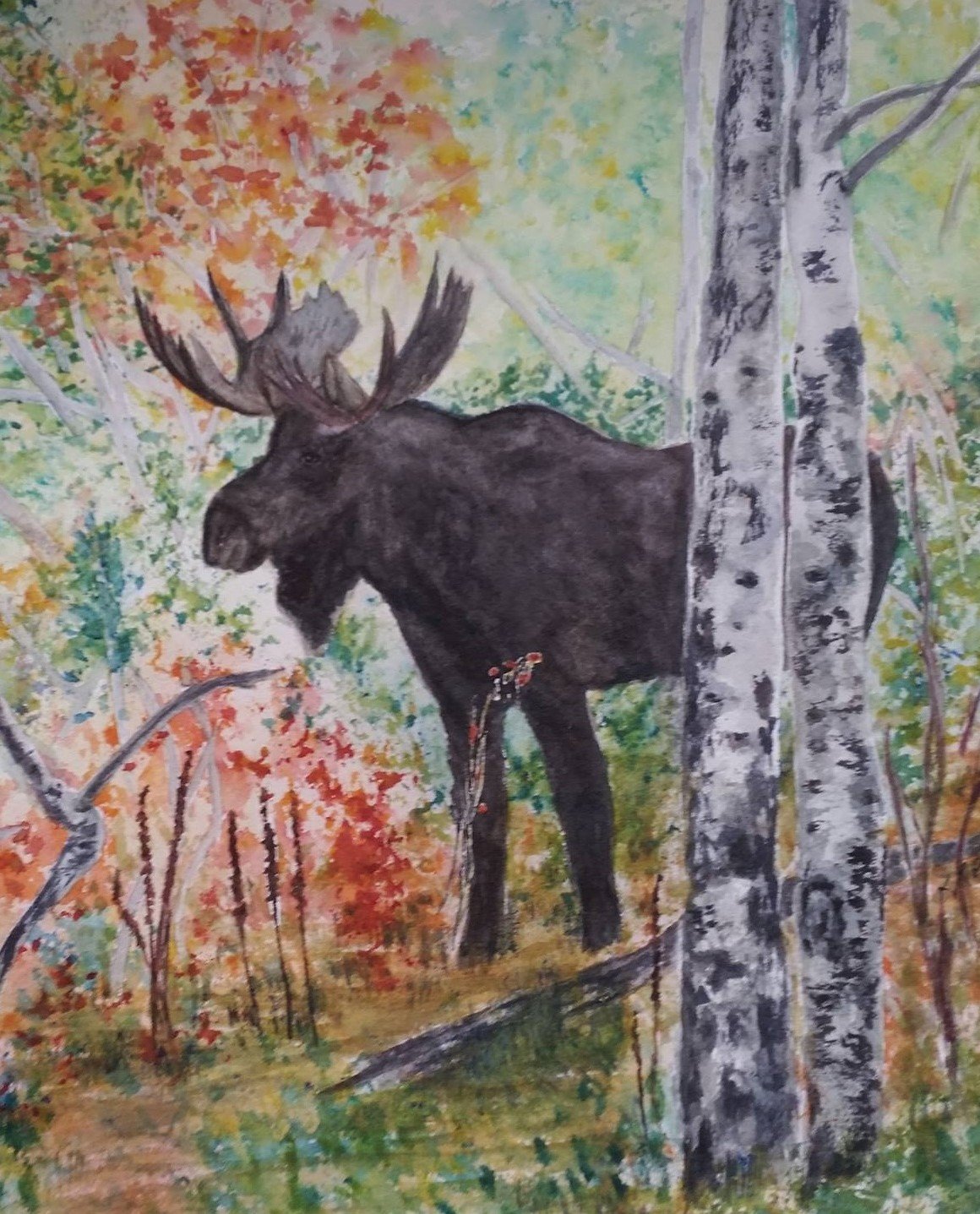 Art in the Wild: Tips and Techniques for Watercolor- Animals and Trees 