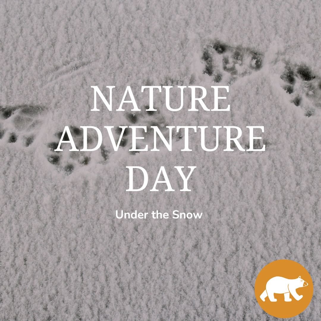 Nature Adventure Day - Under the Snow