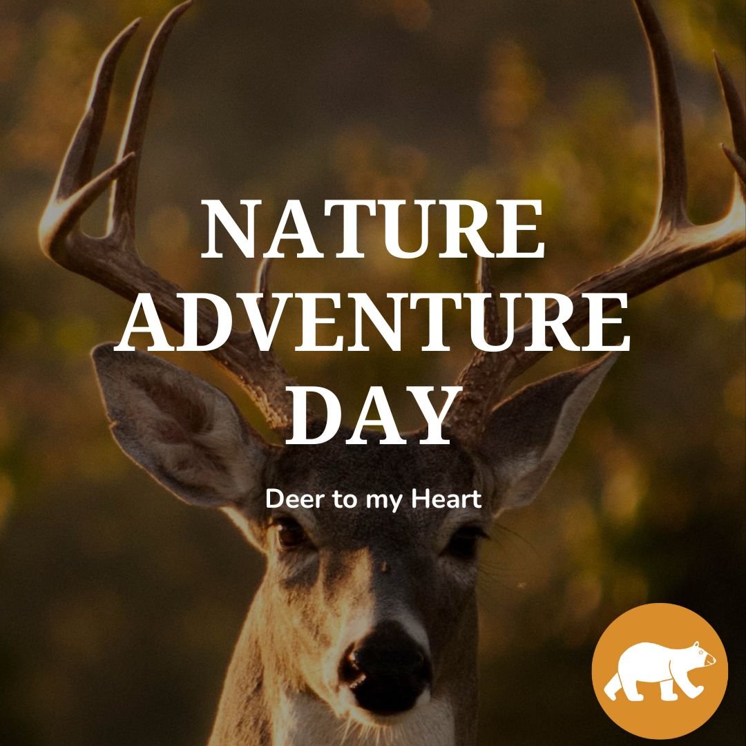 Nature Adventure Day - Deer to my Heart