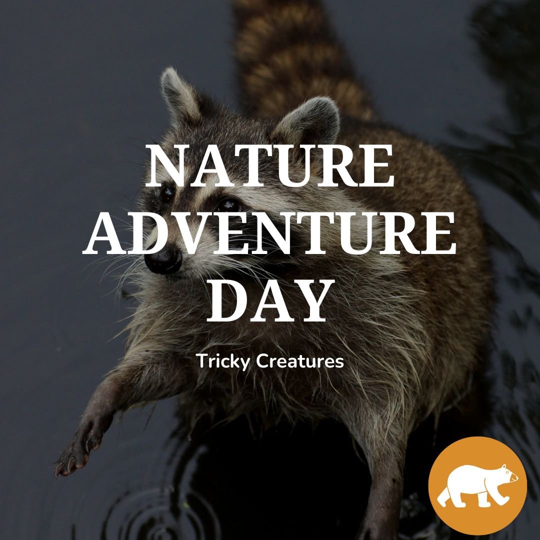 Nature Adventure Day - Tricky Creatures