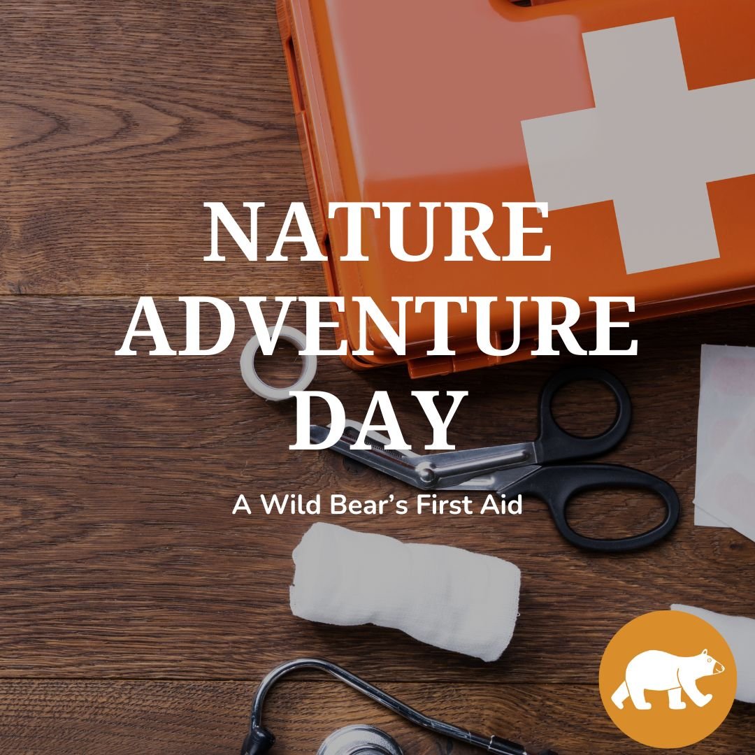 Nature Adventure Day - A Wild Bear’s First Aid