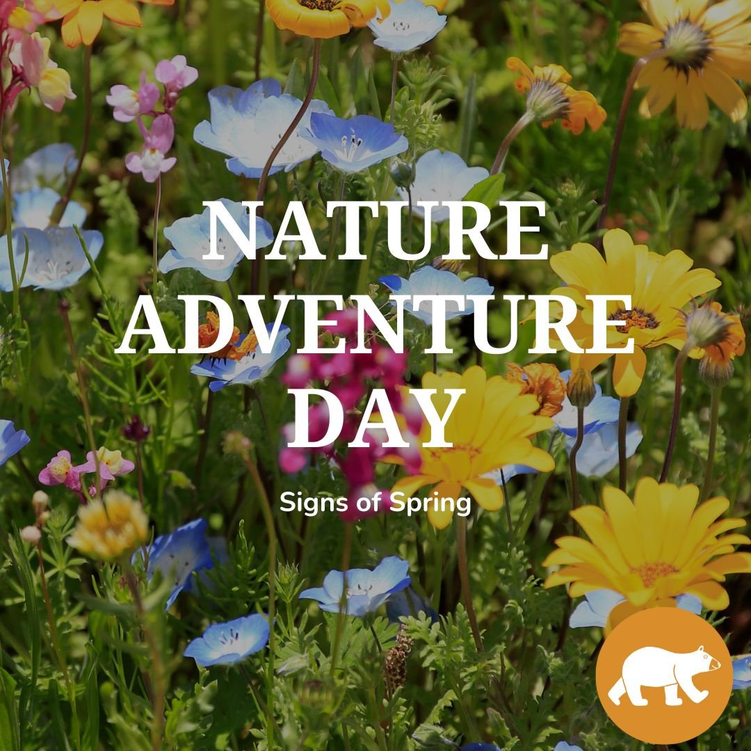 Nature Adventure Day - Signs of Spring