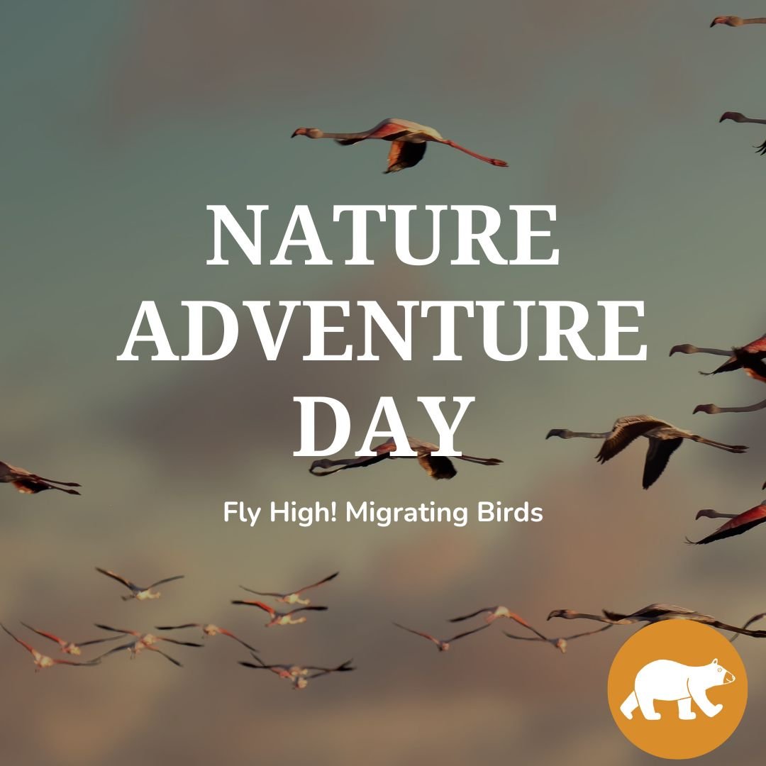 Nature Adventure Day - Fly High! Migrating Birds