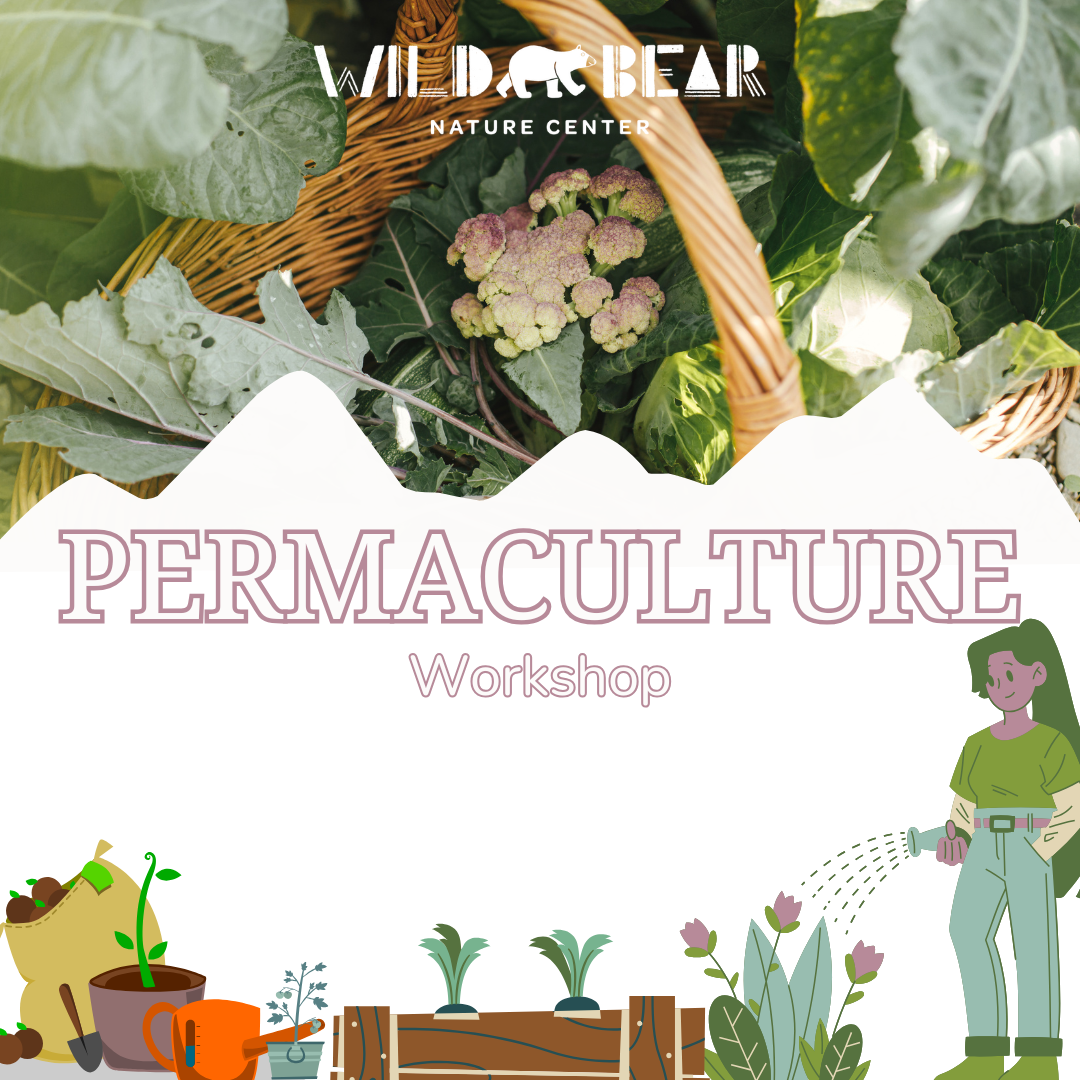 Permaculture Introduction Course