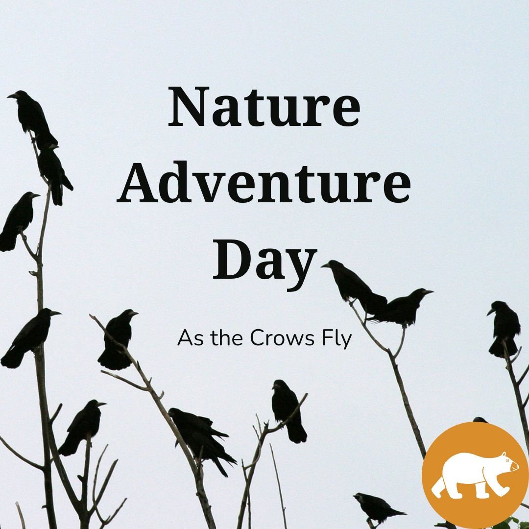 Nature Adventure Day - As the Crows Fly