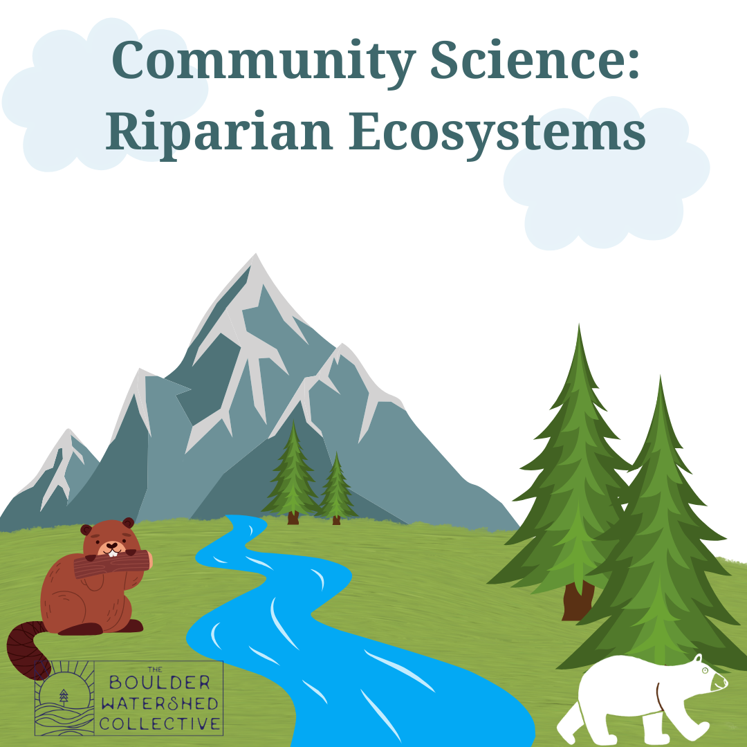 Community Science: Riparian Ecosystems 