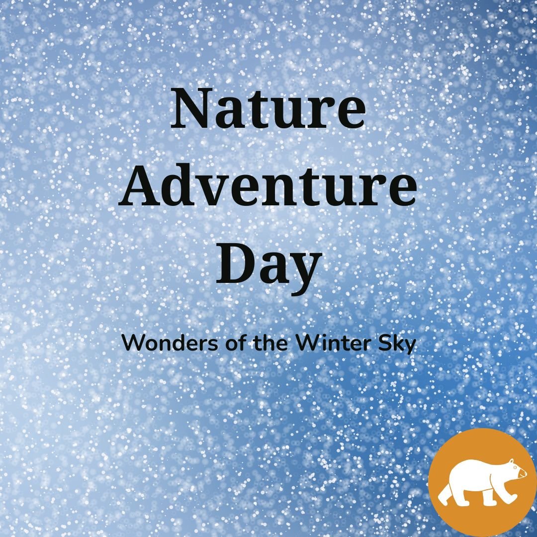Nature Adventure Day - Wonders of the Winter Sky
