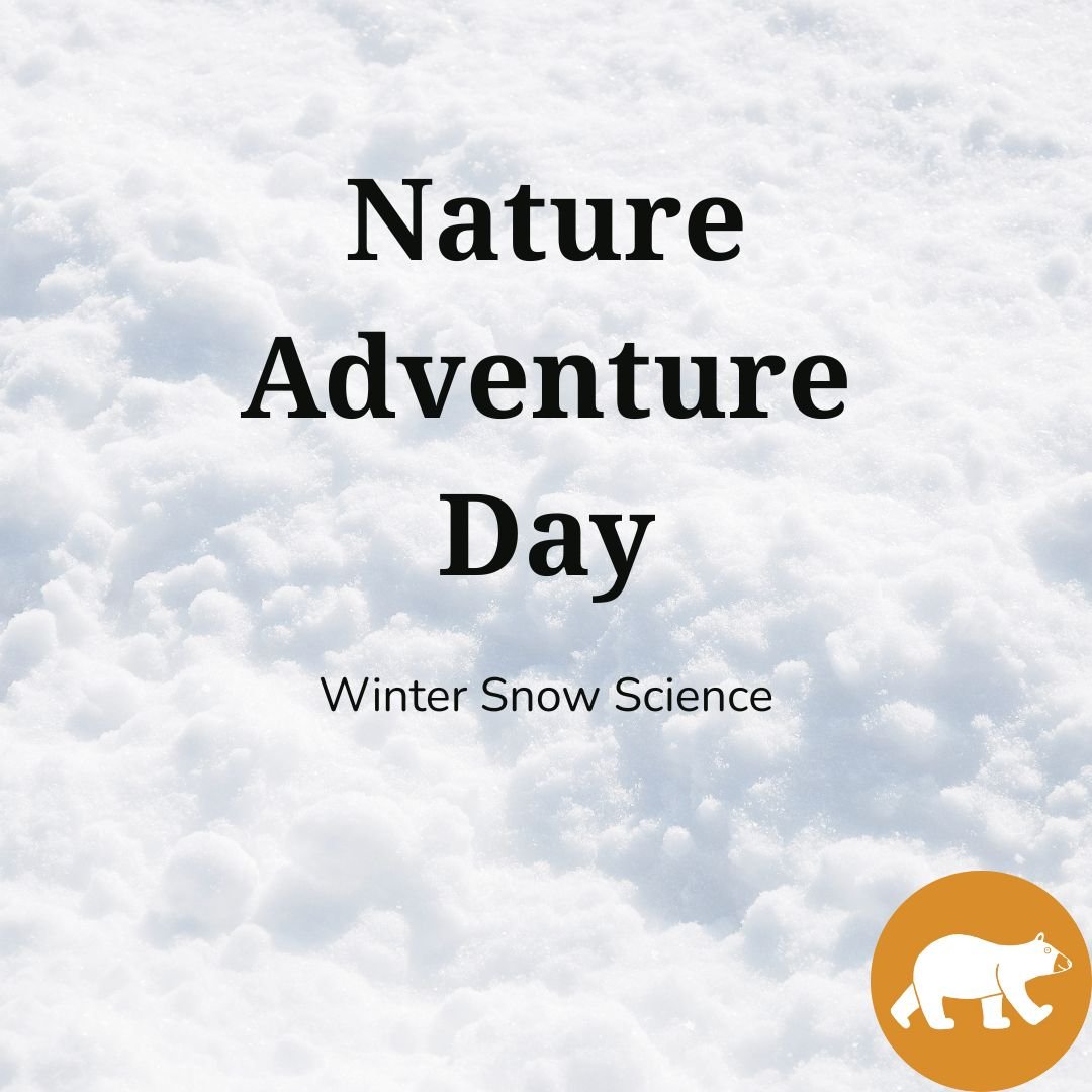 Nature Adventure Day - Winter Snow Science