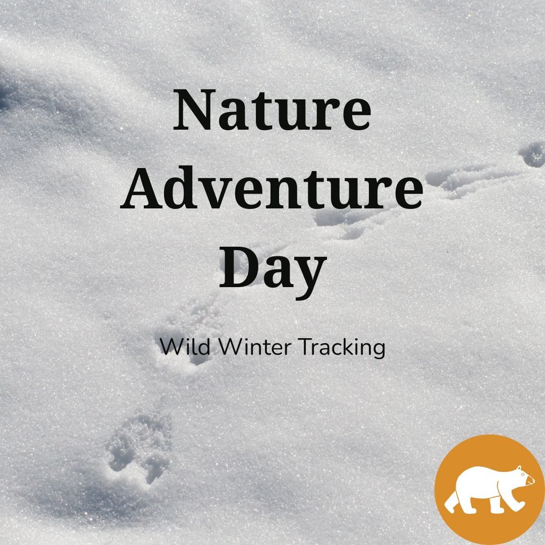 Nature Adventure Day - Wild Winter Tracking