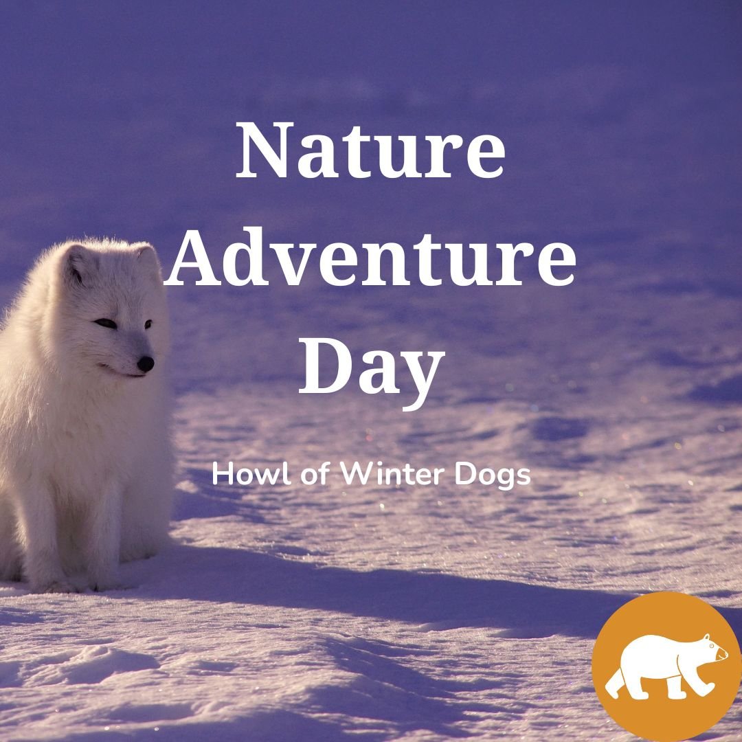 Nature Adventure Day - Howl of Winter Dogs