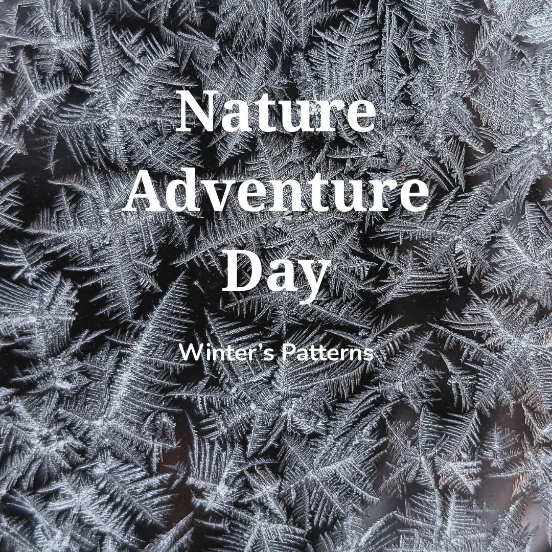 Nature Adventure Day - Winter Patterns