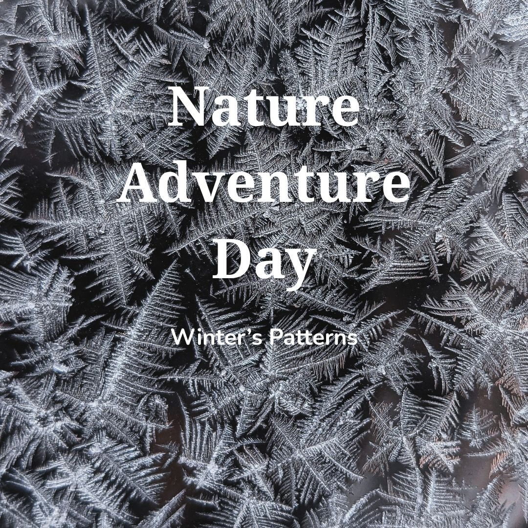 Nature Adventure Day - Winter Patterns
