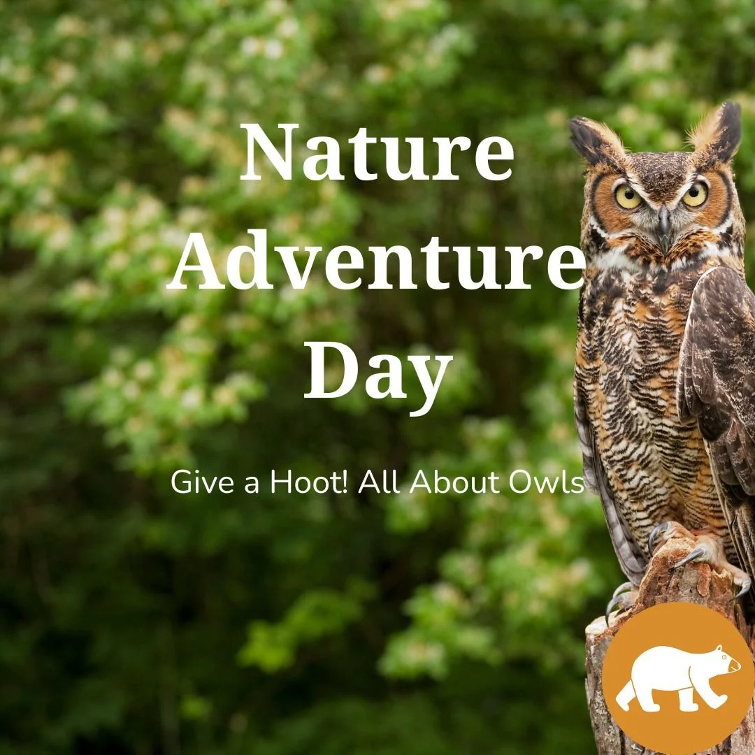 Nature Adventure Day - Give a Hoot! All about Owls